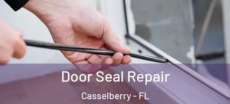  Door Seal Repair Casselberry - FL