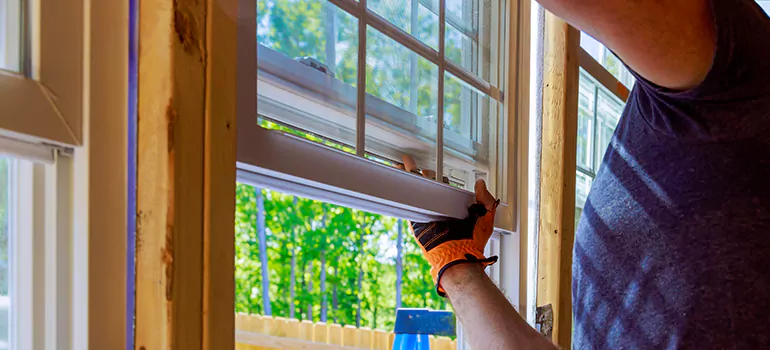 Decorative Window Film Services in Casselberry, FL
