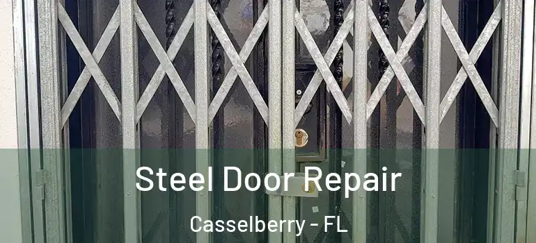  Steel Door Repair Casselberry - FL